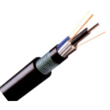 Enterrement direct extérieur GYFTY53 Câble à fibre optique pour communication